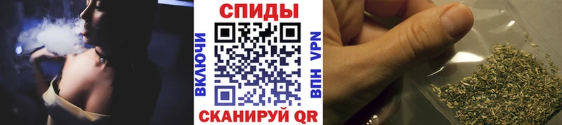 ссылка на мегу как зайти  Западная Двина  Бутират 99% 