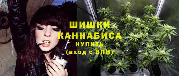 spice Беломорск