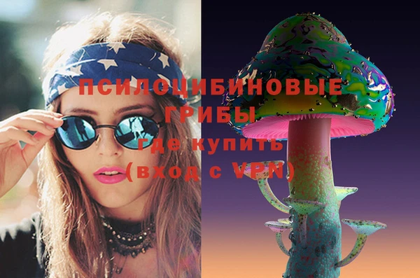 spice Беломорск