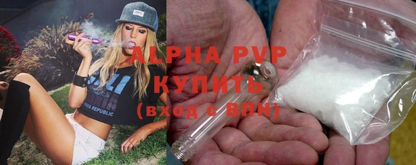 spice Беломорск
