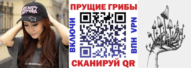 Псилоцибиновые грибы Magic Shrooms  Западная Двина 