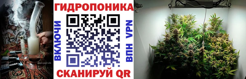 Бошки марихуана AK-47  дарнет шоп  Западная Двина 